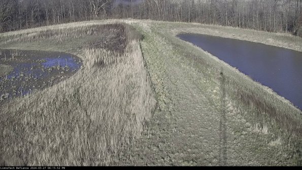 Cell 4 to Basin_24-03-27_18-15-53-19