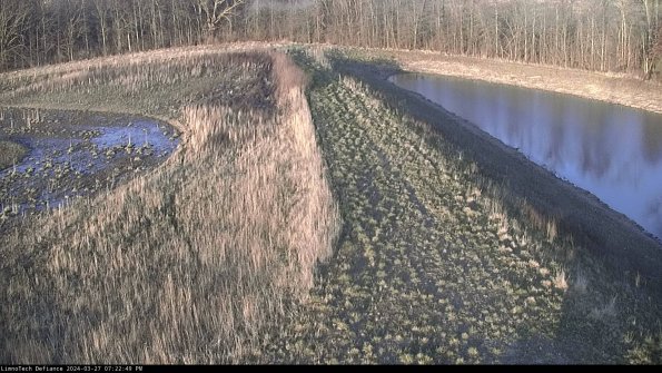 Cell 4 to Basin_24-03-27_19-22-50-19