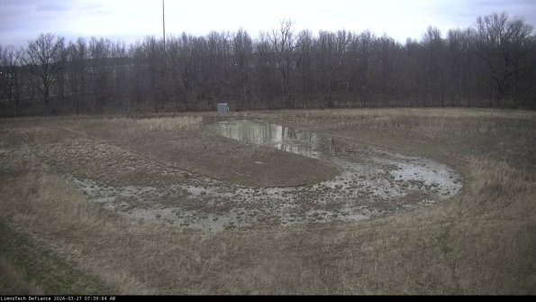 Cell 4_24-03-27_07-39-05-19