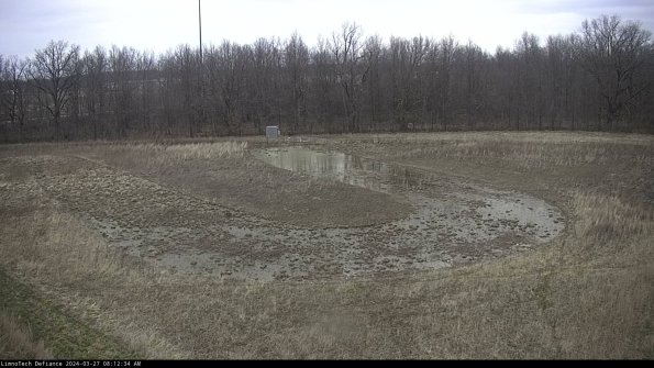 Cell 4_24-03-27_08-12-35-17