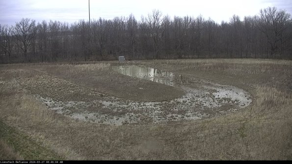 Cell 4_24-03-27_08-46-05-18