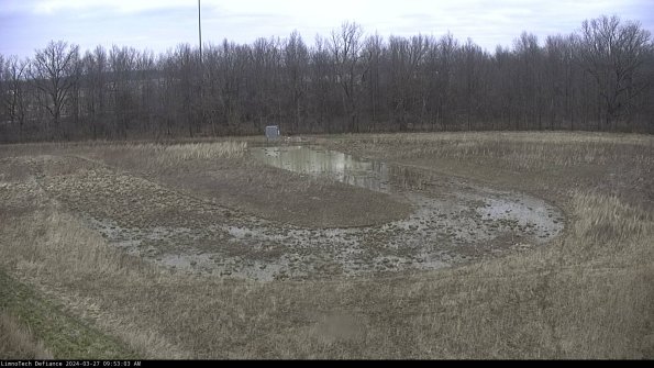 Cell 4_24-03-27_09-53-04-17