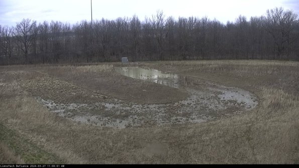 Cell 4_24-03-27_11-00-02-17