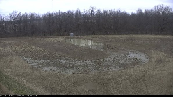 Cell 4_24-03-27_11-33-31-15