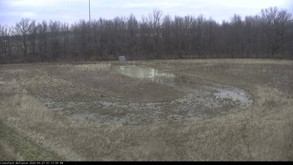 Cell 4_24-03-27_13-14-00-15