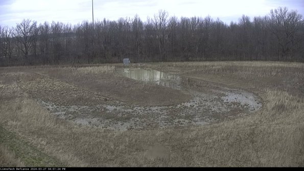 Cell 4_24-03-27_16-01-25-16