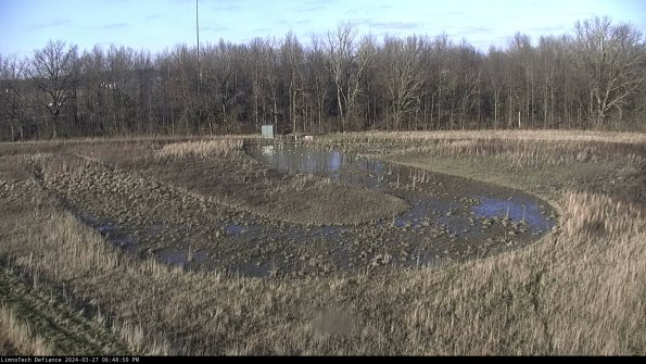 Cell 4_24-03-27_18-48-51-17