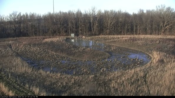 Cell 4_24-03-27_19-22-20-16