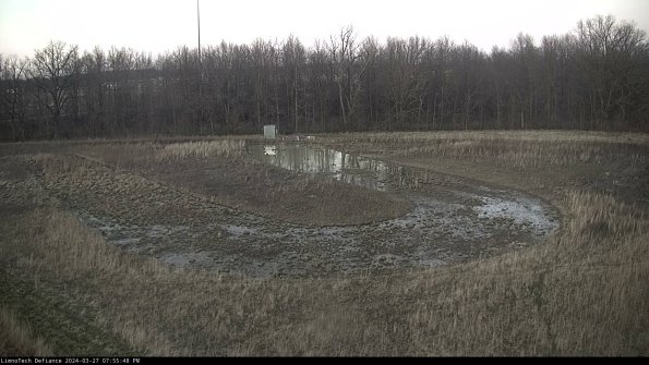 Cell 4_24-03-27_19-55-49-17