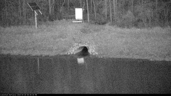 Basin Inflow_24-03-28_20-30-31-38