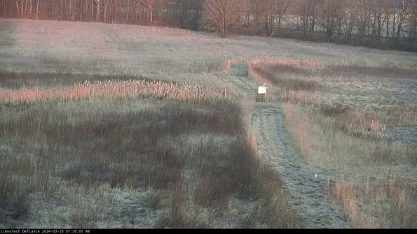 Cell 1 to 2_24-03-28_07-38-06-16