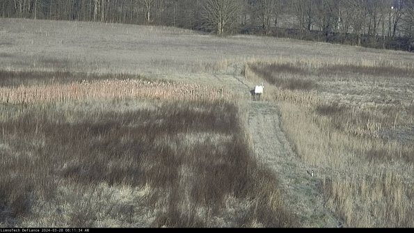 Cell 1 to 2_24-03-28_08-11-35-14