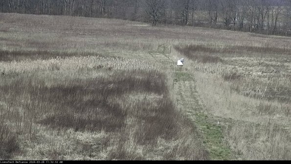 Cell 1 to 2_24-03-28_11-32-33-17