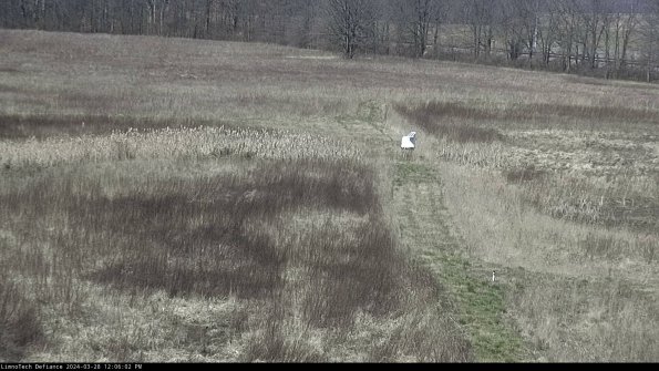 Cell 1 to 2_24-03-28_12-06-03-16