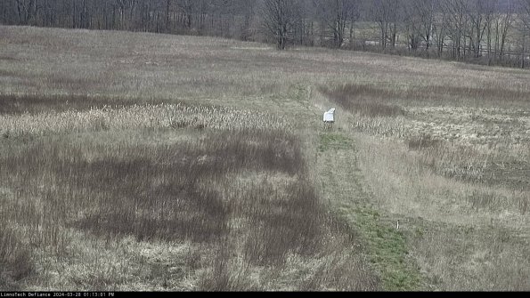 Cell 1 to 2_24-03-28_13-13-02-16