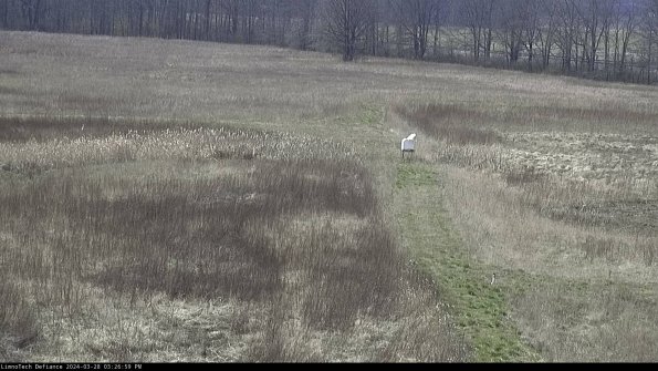 Cell 1 to 2_24-03-28_15-27-00-17