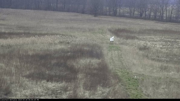 Cell 1 to 2_24-03-28_16-00-30-15