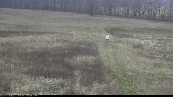 Cell 1 to 2_24-03-28_16-34-00-17