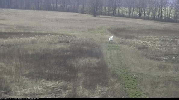 Cell 1 to 2_24-03-28_17-07-28-15