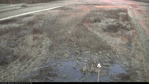 Cell 1_24-03-28_07-37-52-18