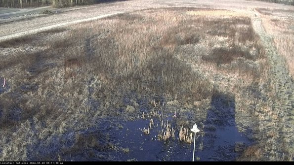 Cell 1_24-03-28_08-11-21-16