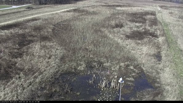 Cell 1_24-03-28_10-25-20-16