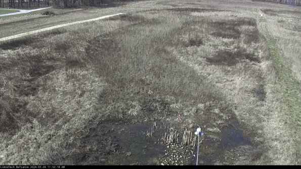 Cell 1_24-03-28_11-32-19-16