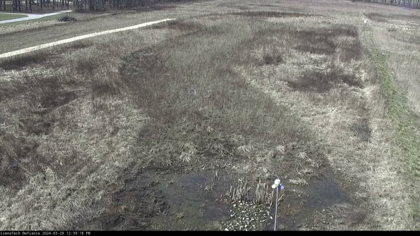 Cell 1_24-03-28_12-39-19-16