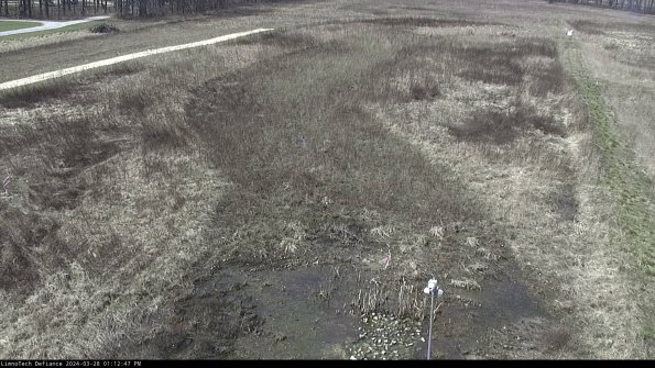 Cell 1_24-03-28_13-12-48-18