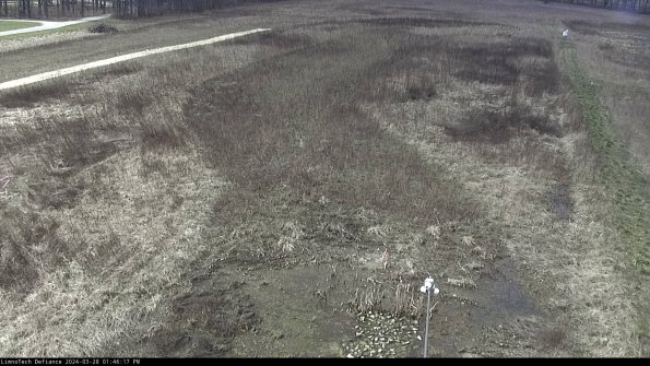 Cell 1_24-03-28_13-46-18-17