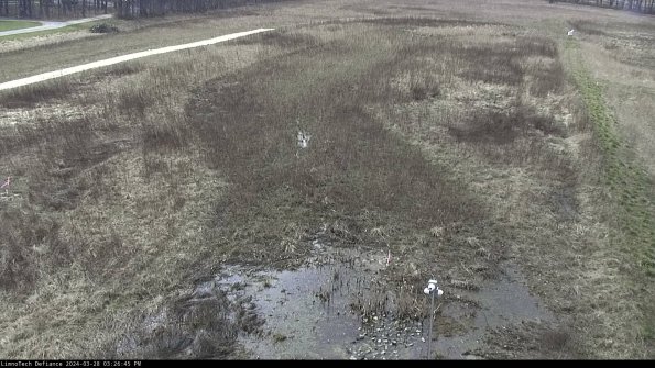 Cell 1_24-03-28_15-26-46-19