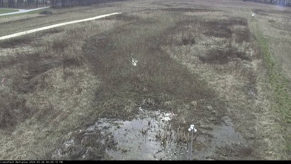 Cell 1_24-03-28_16-00-16-17