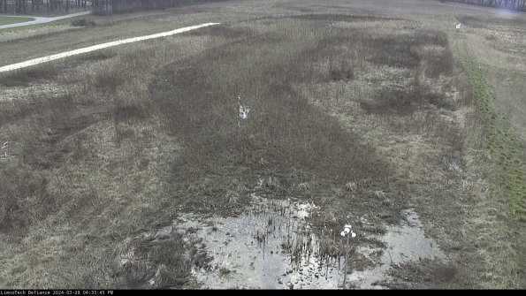 Cell 1_24-03-28_16-33-46-16