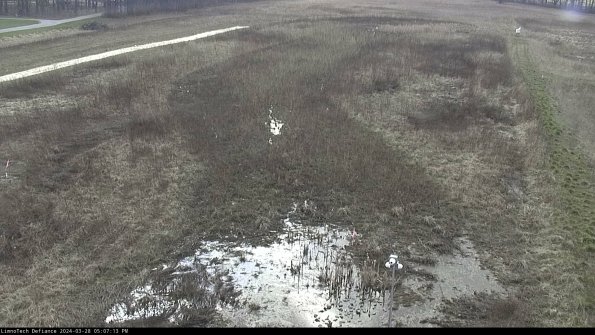 Cell 1_24-03-28_17-07-14-17