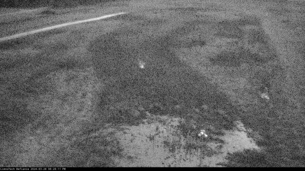 Cell 1_24-03-28_20-28-12-18