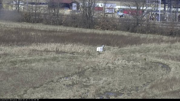 Cell 2 to 3_24-03-28_11-32-59-23