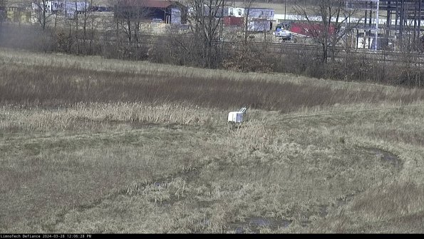 Cell 2 to 3_24-03-28_12-06-29-35