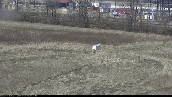 Cell 2 to 3_24-03-28_12-39-59-24