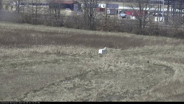 Cell 2 to 3_24-03-28_13-13-28-39