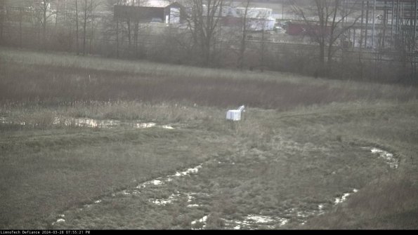 Cell 2 to 3_24-03-28_19-55-22-27