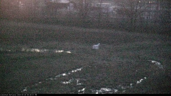 Cell 2 to 3_24-03-28_20-28-52-32