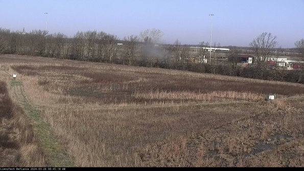 Cell 2_24-03-28_08-45-19-20