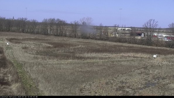 Cell 2_24-03-28_10-59-17-17