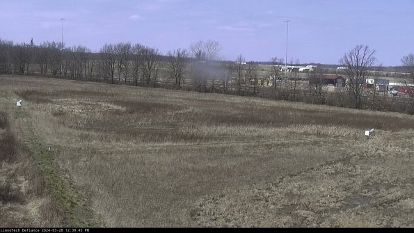 Cell 2_24-03-28_12-39-46-19