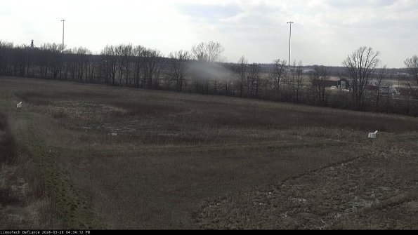 Cell 2_24-03-28_16-34-13-18