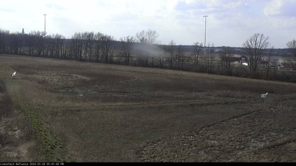 Cell 2_24-03-28_17-07-41-23