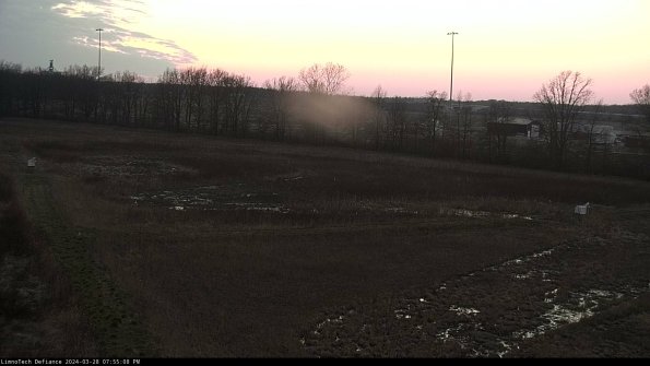 Cell 2_24-03-28_19-55-09-19