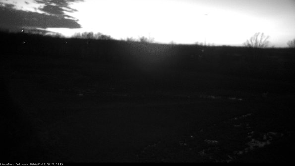 Cell 2_24-03-28_20-28-39-30