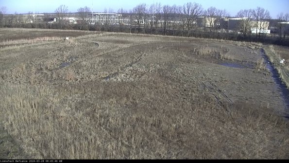 Cell 3_24-03-28_08-45-47-17