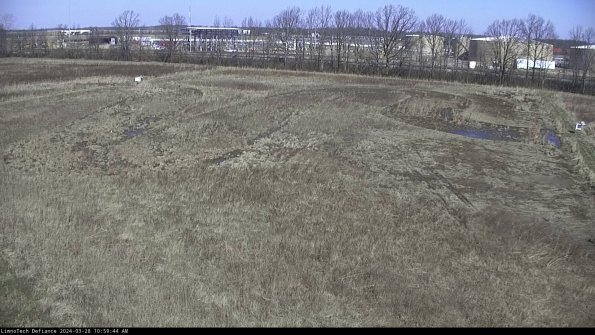 Cell 3_24-03-28_10-59-45-16